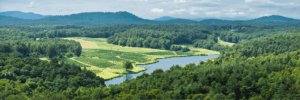Image of a field at the Biltmore Estate in Asheville, North Carolina.