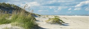 Landscape image of a beach on the Outer Banks of North Carolina.